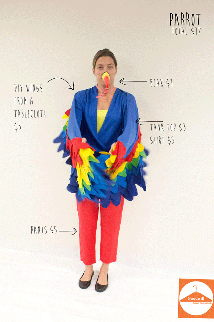 Parrot Costume DIY
 diy parrot costume