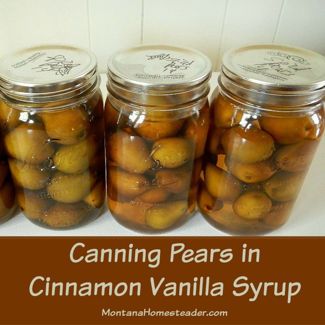 Pear Recipes For Canning
 Canning Pears in Cinnamon Vanilla Syrup