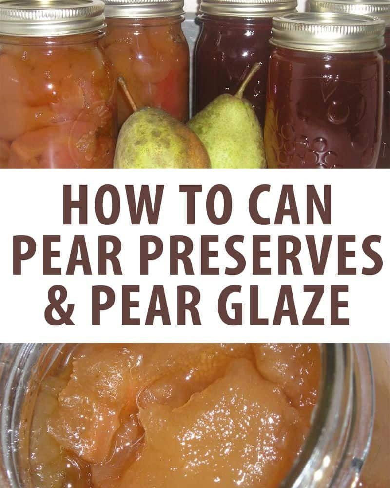 Pear Recipes For Canning
 The Absolute BEST Recipe For Canning Pear Preserves