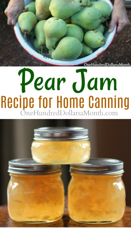 Pear Recipes For Canning
 Canning 101 How to Make Pear Jam e Hundred Dollars a