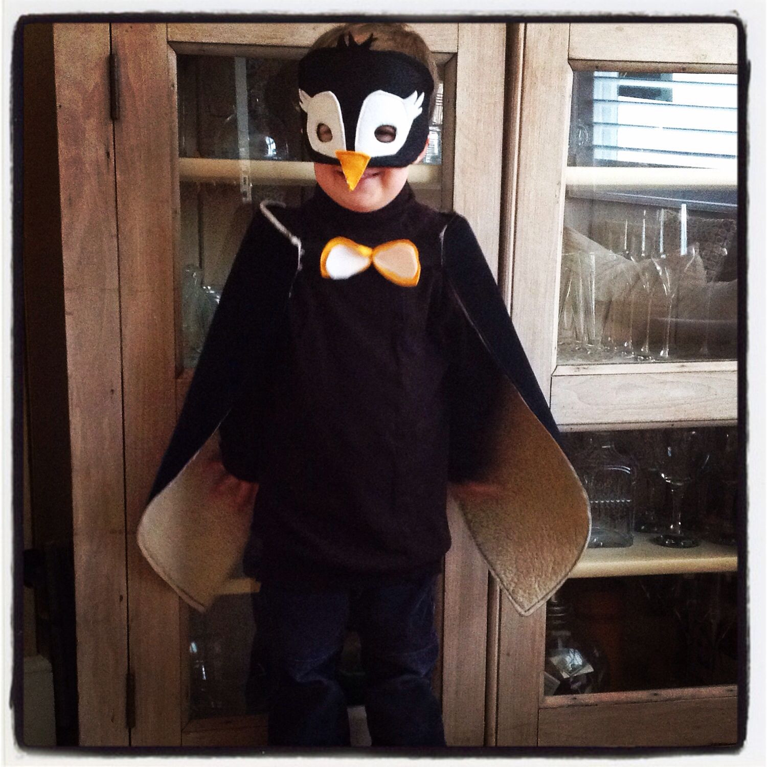 Penguin Costumes DIY
 Homemade DIY penguin costume