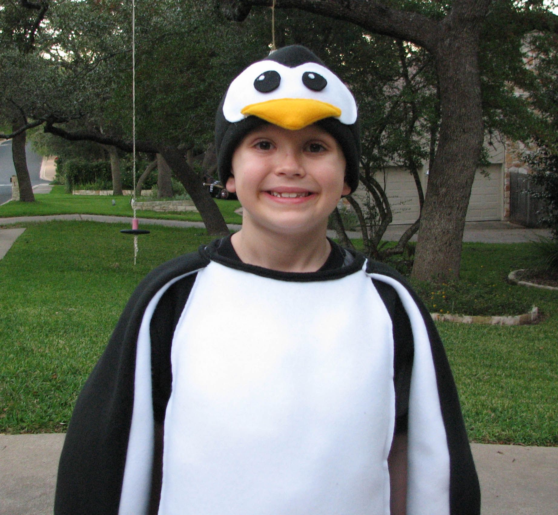 Penguin Costumes DIY
 Child s Penguin Costume DIY Halloween