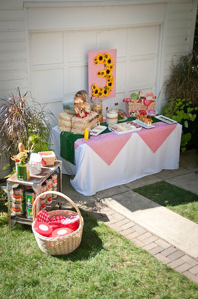Picnic Birthday Party Ideas
 132 best images about Picnic Birthday Party on Pinterest
