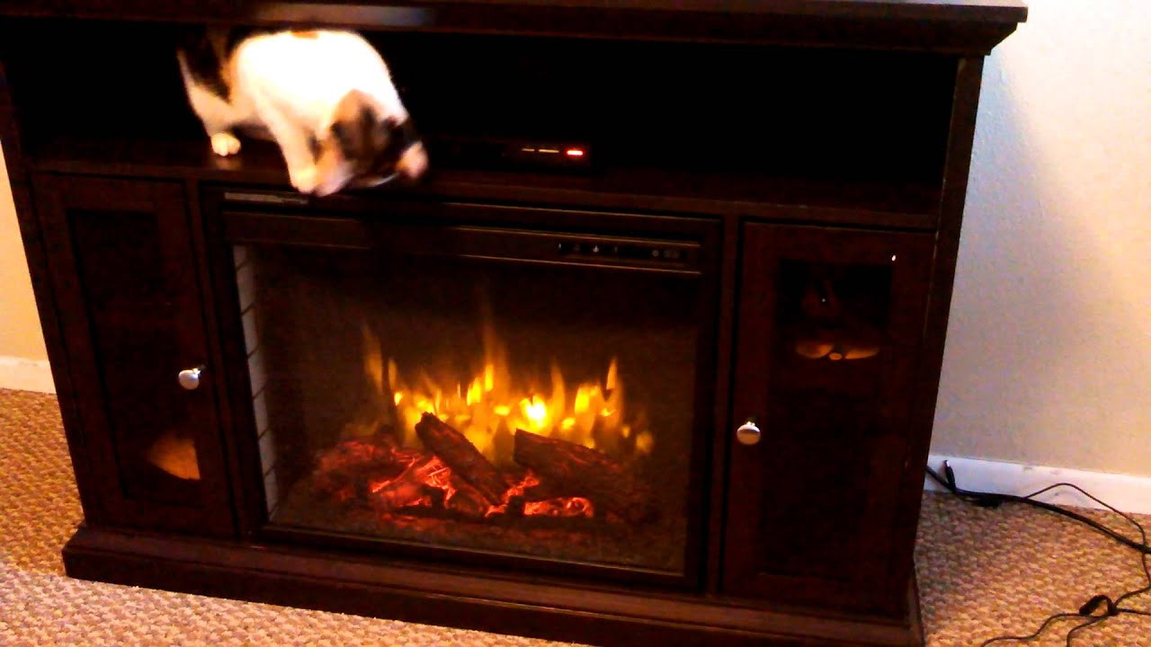 Pleasant Hearth Electric Fireplace
 Pleasant Hearth Riley Espresso 23" Electric Fireplace