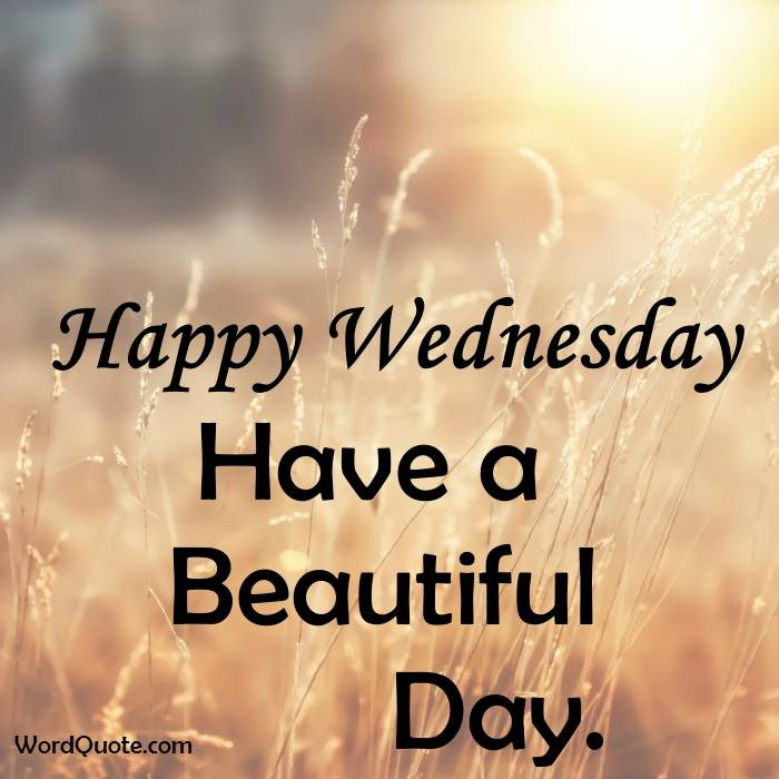 Positive Wednesday Quotes
 Happy Wednesday Quotes And Word Quote