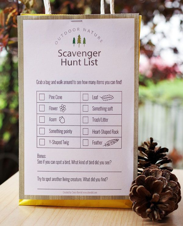 Scavenger Hunt Birthday Party Ideas
 Birthday Party Ideas for an outdoor nature theme Download