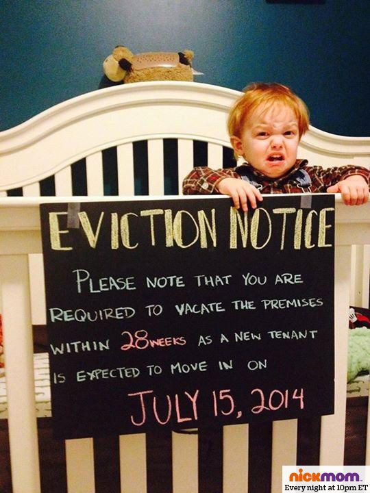 Second Baby Announcement Quotes
 17 Best images about Pregnancy Announcements on Pinterest
