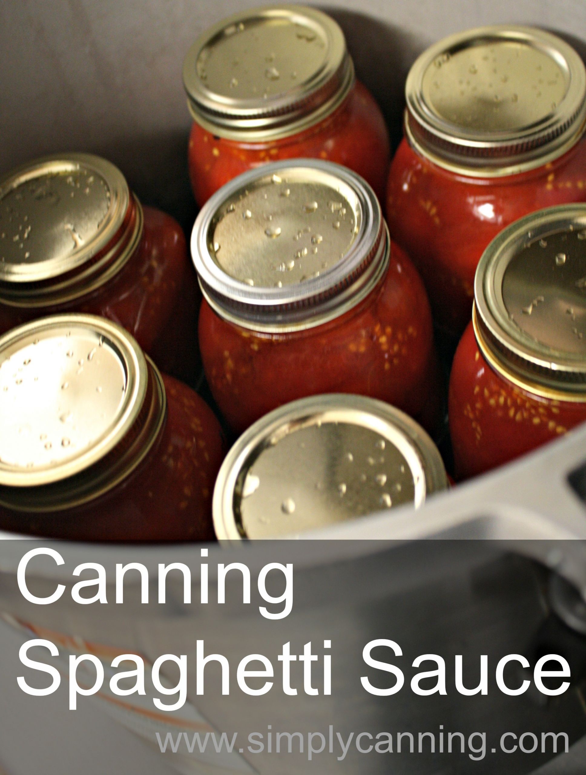 Spaghetti Sauce For Canning
 Canning Spaghetti Sauce Recipe with meat that will save