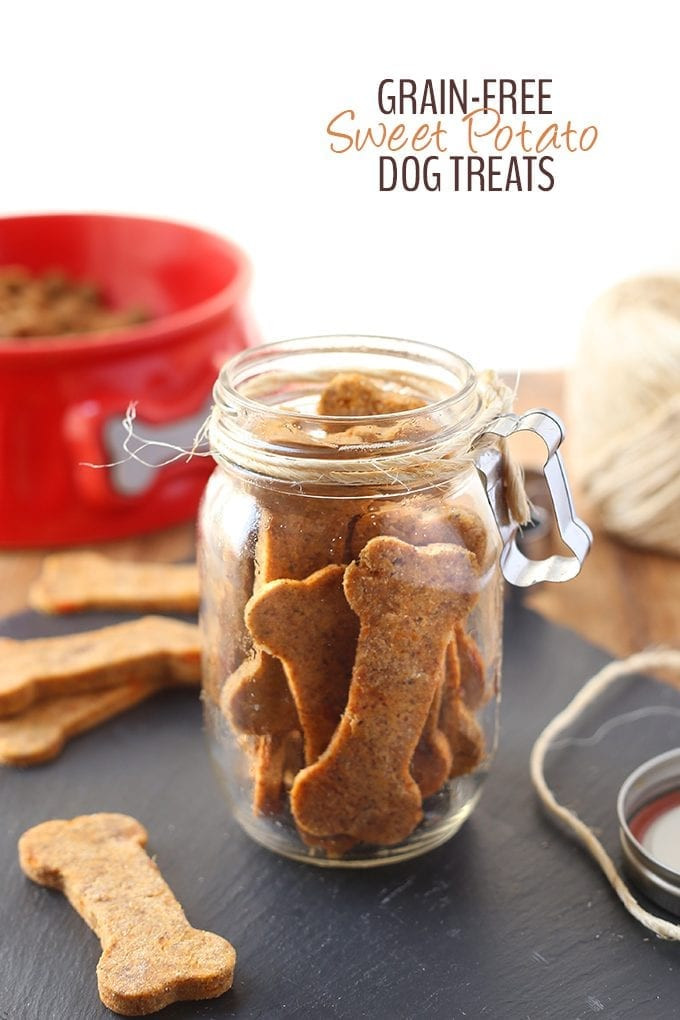 Sweet Potato Dog Treats
 Grain Free Sweet Potato Dog Treats The Healthy Maven
