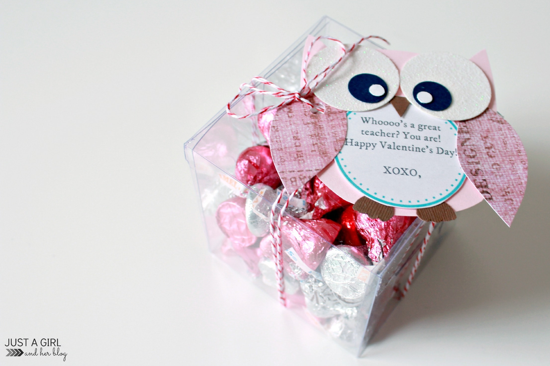 Valentines Gift Ideas For Teachers
 Owl Valentine Teacher Gift