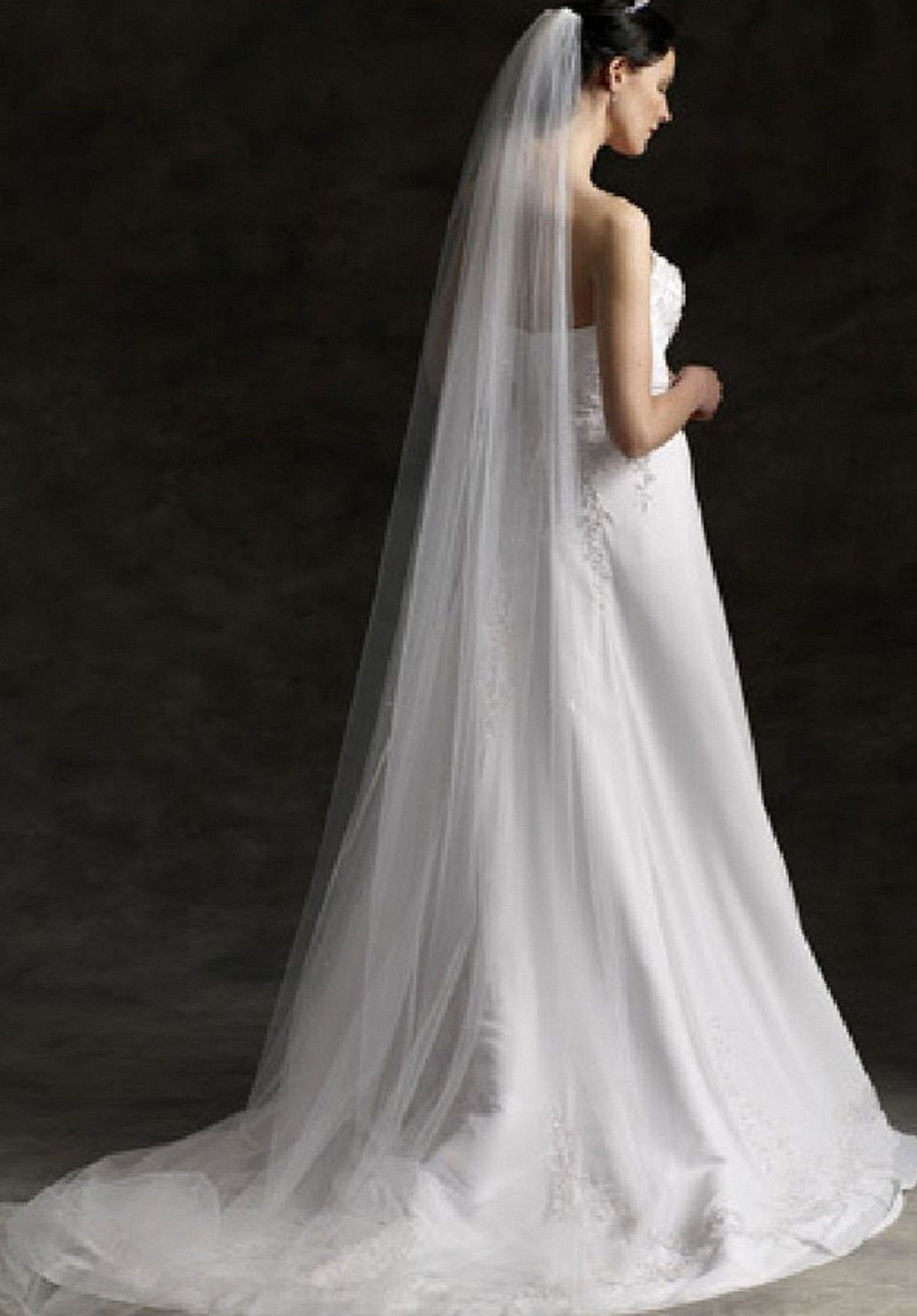 1 Tier Wedding Veil
 Plain Single Tier Cathedral Length Tulle Veil With Raw