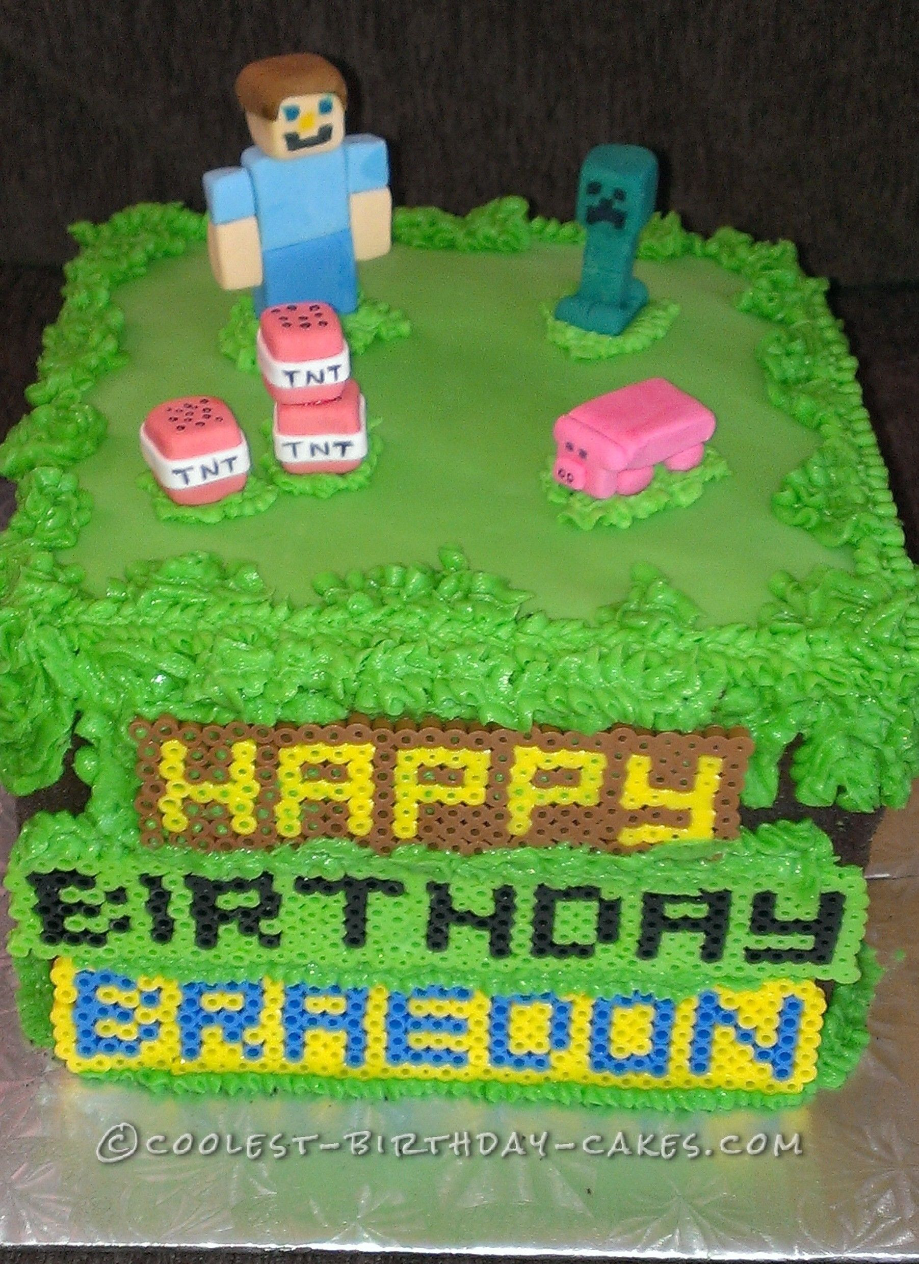 10 Year Boy Birthday Party Ideas
 Minecraft Birthday Cake for 10 Year Old Boy