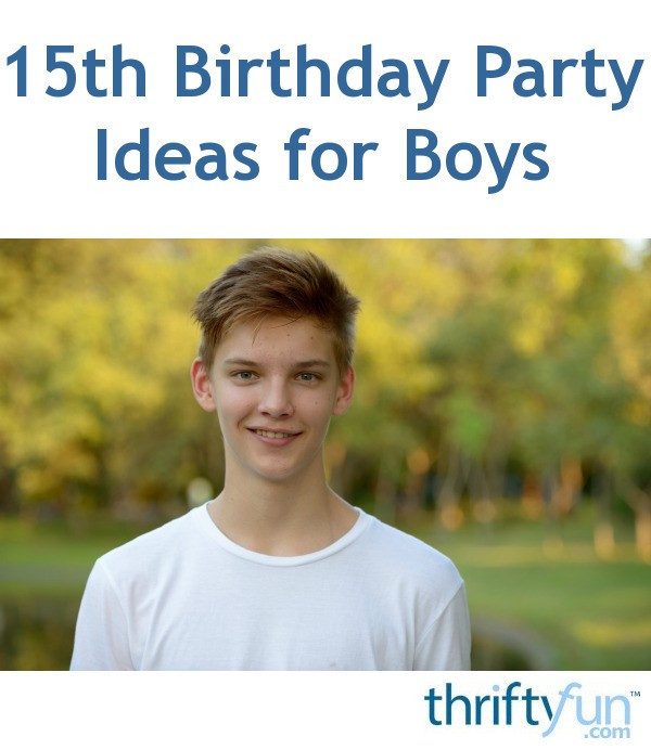 15Th Birthday Party Ideas For Boys
 15th Birthday Party Ideas for Boys