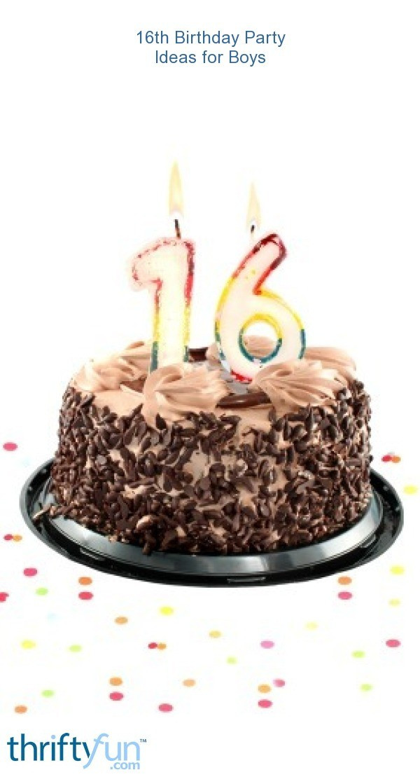 16Th Birthday Party Ideas For Boys
 16th Birthday Party Ideas for Boys