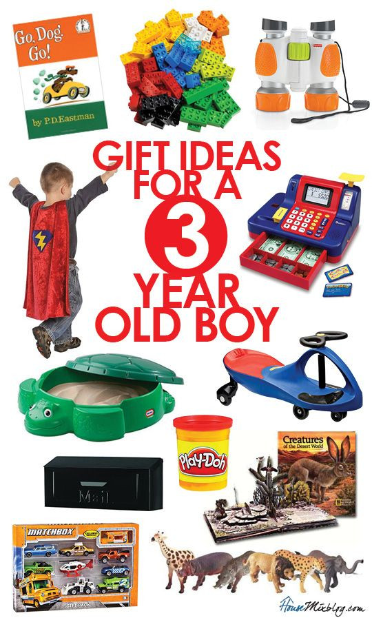 3 Year Old Boy Birthday Gifts
 Gift ideas for 3 year old boys