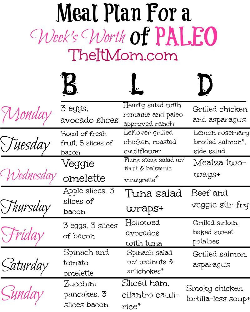 30 Day Paleo Diet Plan
 The Paleo Diet A Beginner s Guide & Meal Plan