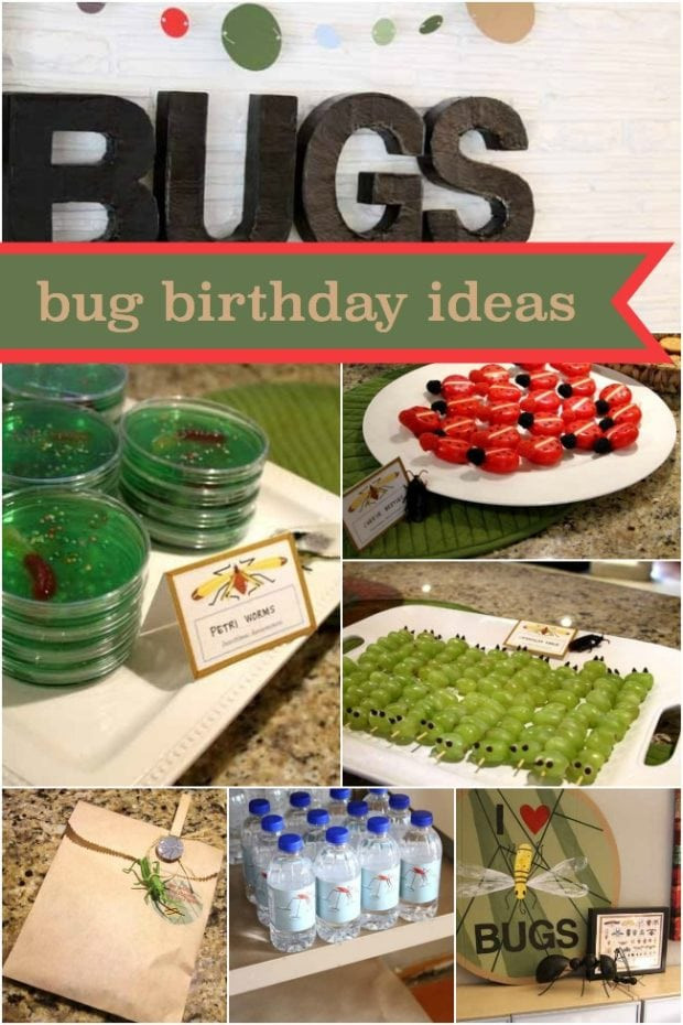 6Th Birthday Party Ideas For Boys
 Boy s 6th Birthday Bug Themed Birthday