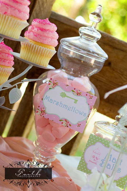 7Th Birthday Party Ideas For Girl
 Kara s Party Ideas 7th Birthday Secret Garden Party