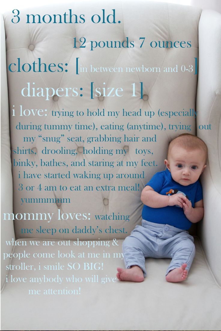 8 Month Old Baby Quotes
 41 bästa bilderna om Monthly photo shoot baby på Pinterest