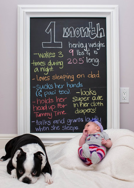 8 Month Old Baby Quotes
 Happy 8 Months Baby Quotes QuotesGram