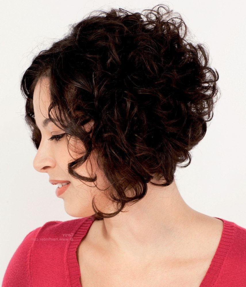 A Line Haircuts Curly Hair
 2020 Popular Stacked Curly Bob Hairstyles