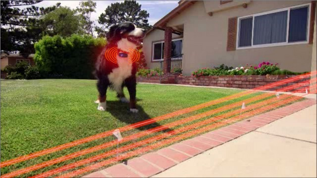 Above Ground Electric Dog Fence
 Electric Dog Fence Reviews 2015 & 2016