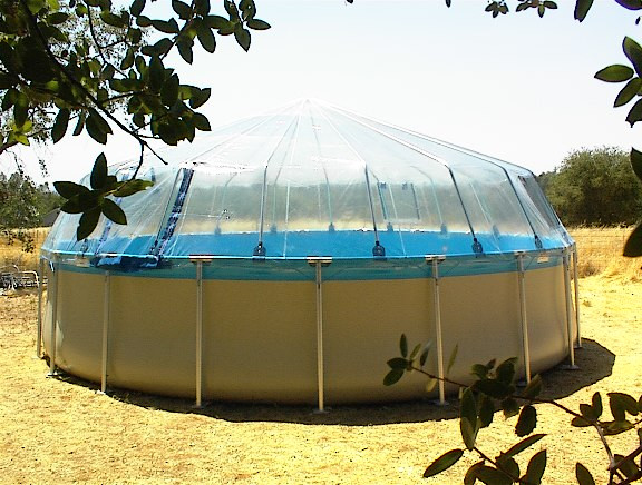 Above Ground Pool Enclosure
 10 Hidden Secrets Why You Should Buy Swimming Pool Dome