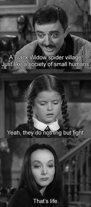 Addams Family Values Quotes
 addamsfamily wednesday morticia and gomez