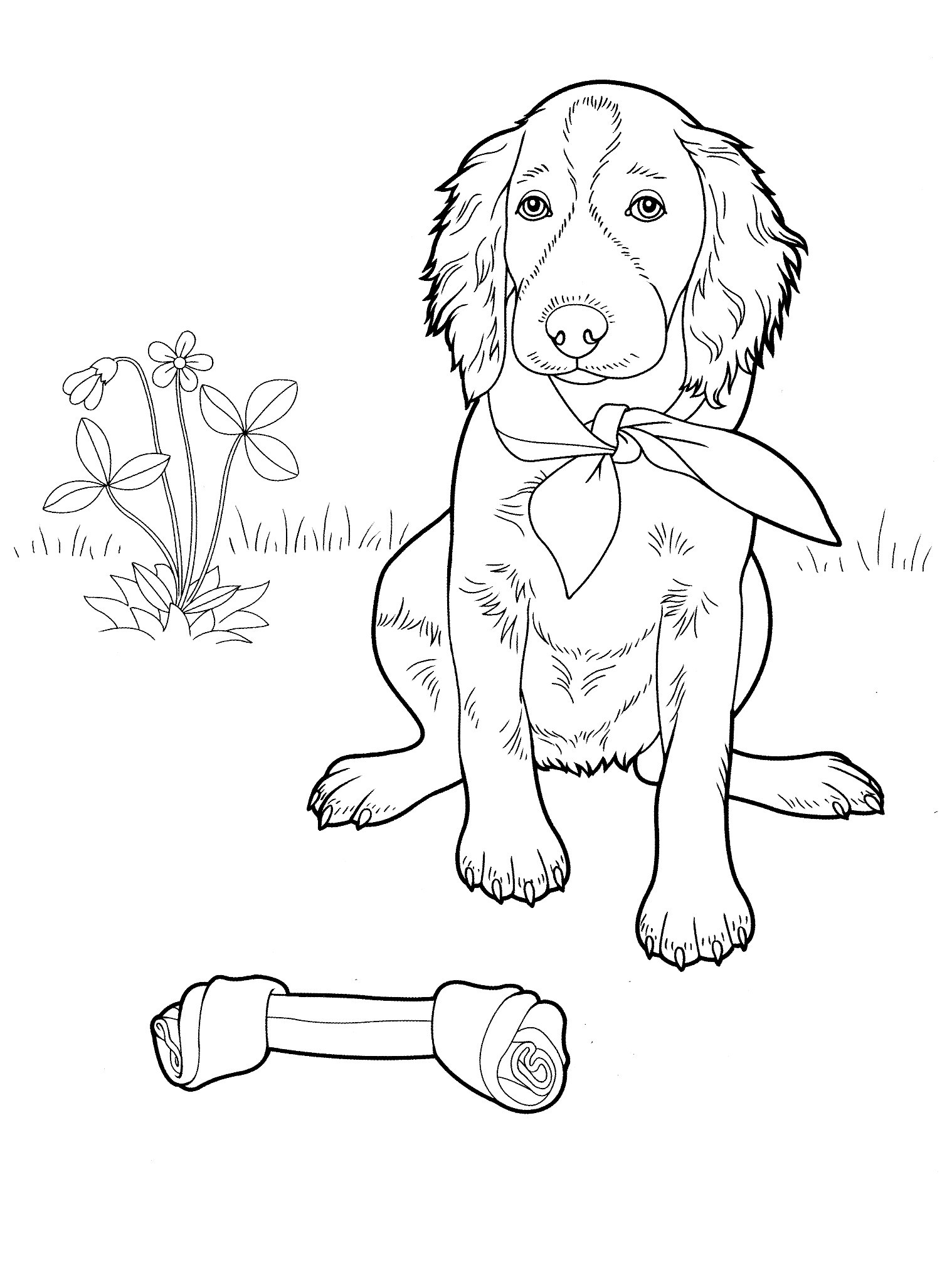 Adult Coloring Pages Dog
 Dogs Coloring Pages Difficult Adult Coloring Home