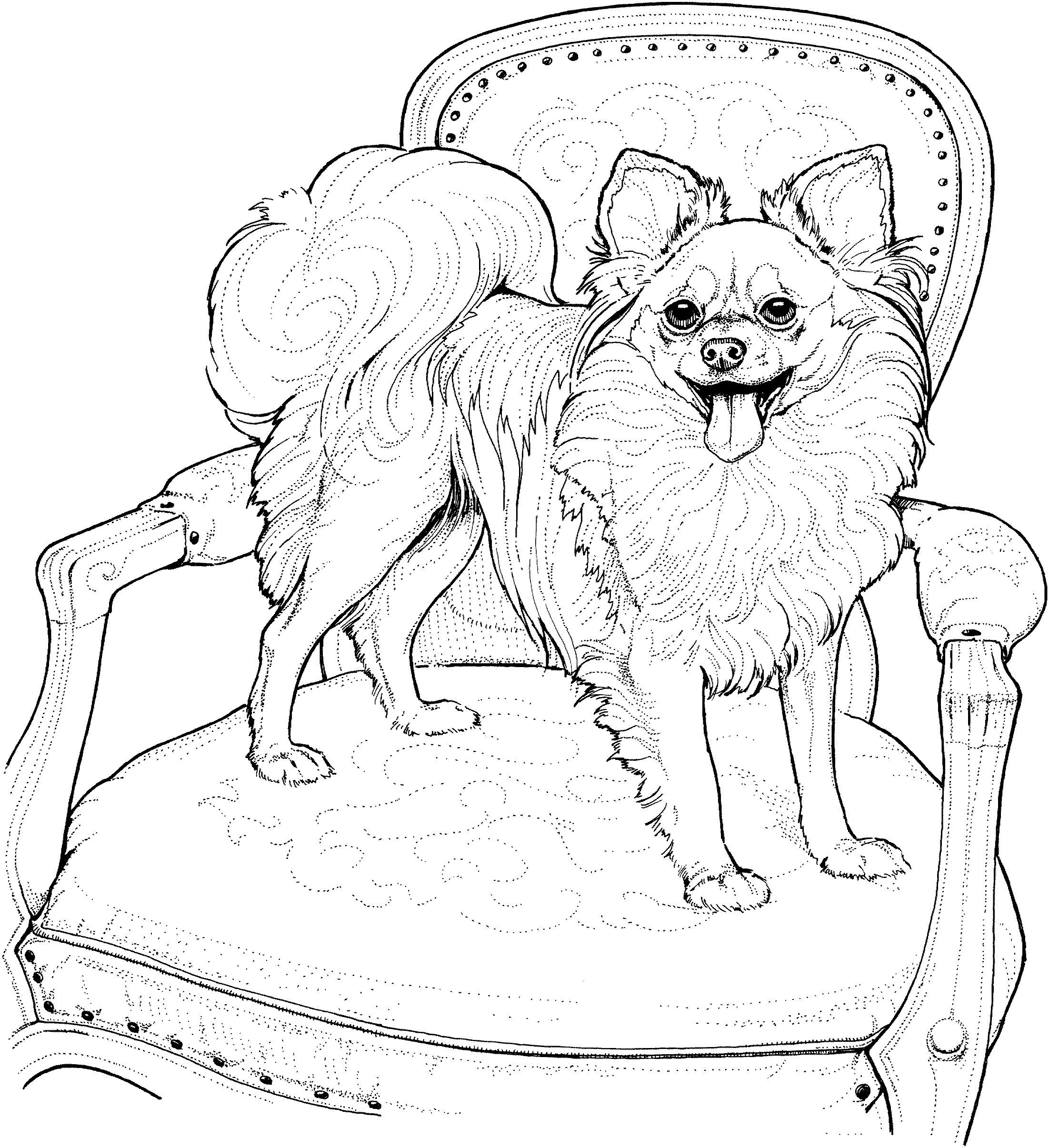 Adult Coloring Pages Dog
 Dog Breed Coloring Pages