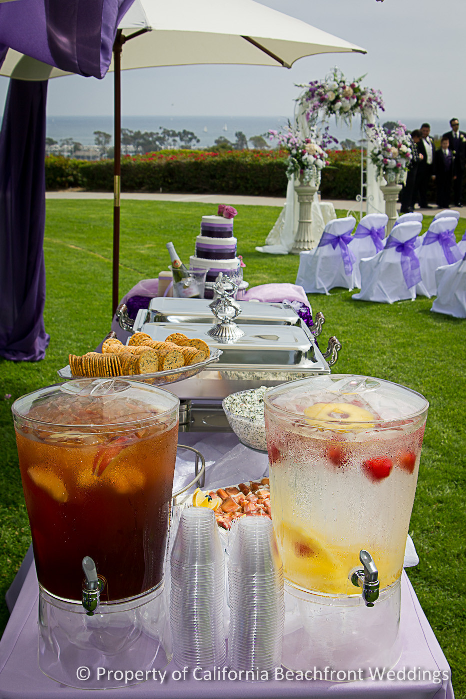 Affordable Beach Weddings California
 Southern California Beach front Weddings Affordable