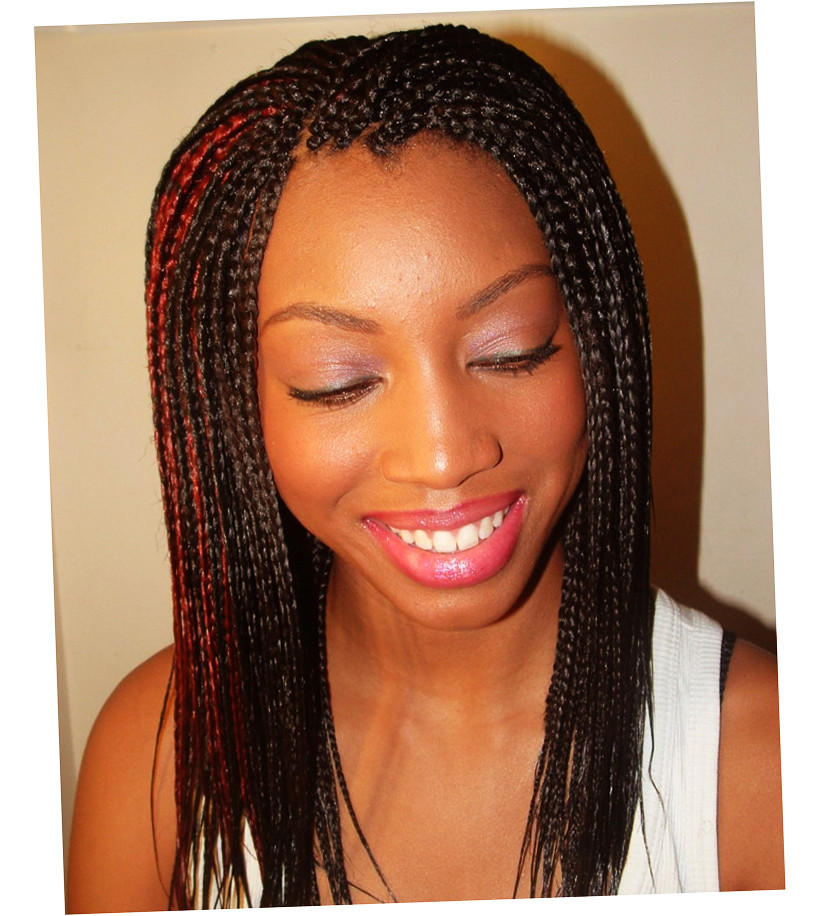 African American Braided Hairstyles
 African American Braided Hair Styles 2016 Ellecrafts