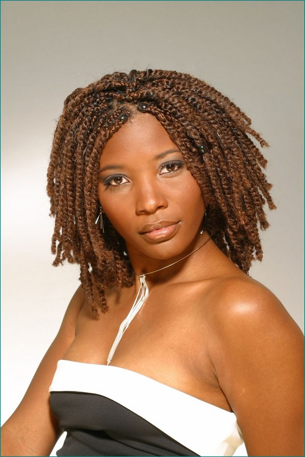 African Braid Hairstyles
 67 Best African Hair Braiding Styles for Women with