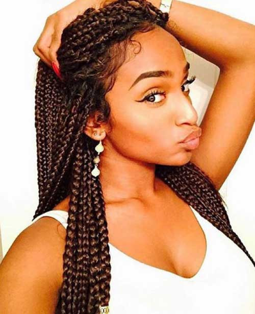 Afro Hairstyles With Braids
 25 Afro Hairstyles with Braids