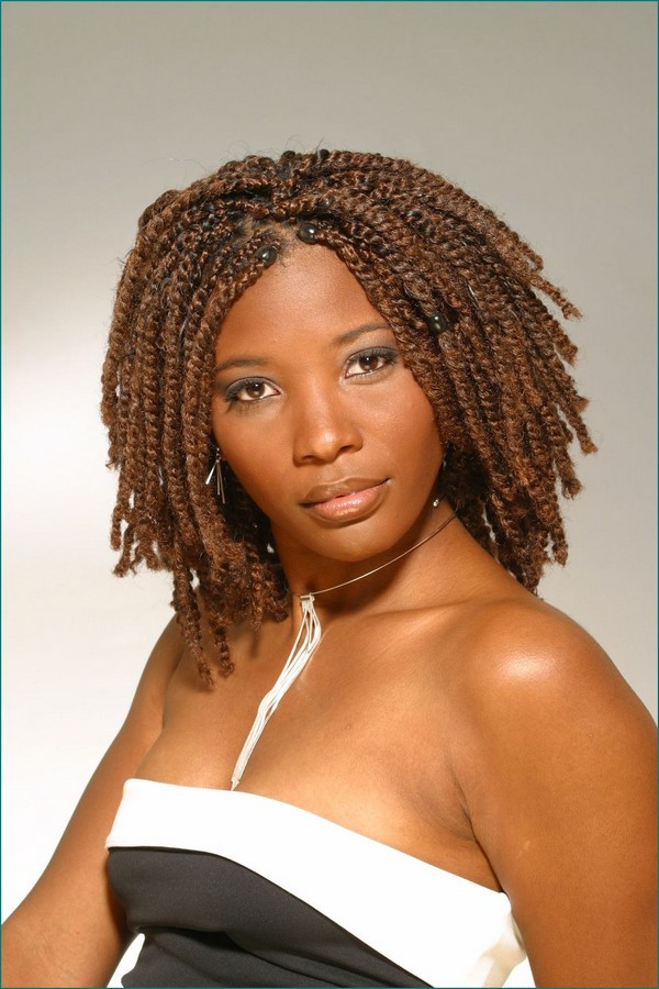 Afro Hairstyles With Braids
 67 Best African Hair Braiding Styles for Women with