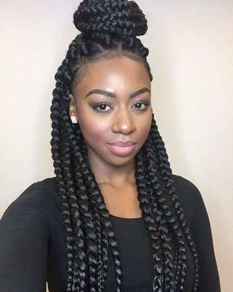 Afro Hairstyles With Braids
 12 Pretty African American Braided Hairstyles PoPular