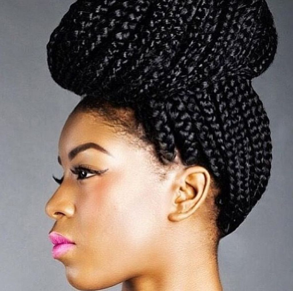 Afro Hairstyles With Braids
 African Braids 15 Stunning African Hair Braiding Styles