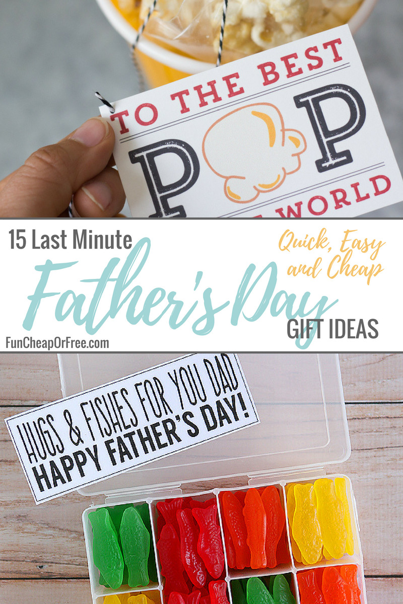 Amazon Fathers Day Gift Ideas
 Father s Day Ideas Cheap & Easy for the Last Minute Fun