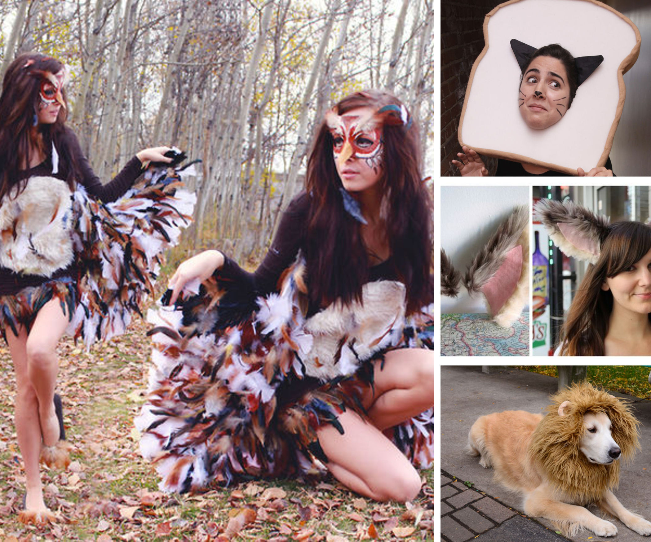 Animal Costumes For Adults DIY
 DIY Animal Costumes