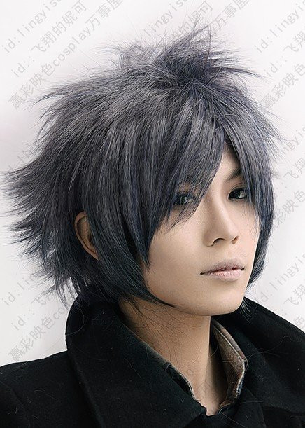 Anime Hairstyles Real Life
 Final Fantasy Versus 600 Grey short shaggy anime cosplay