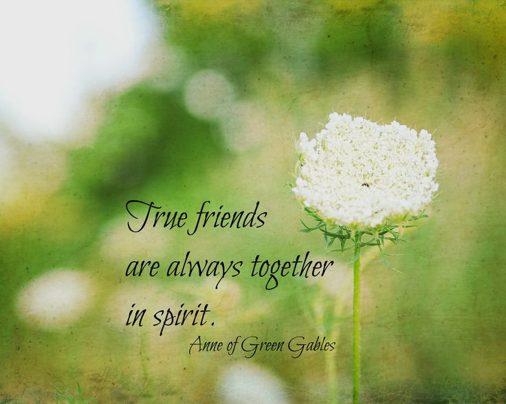 Anne Of Green Gables Friendship Quotes
 17 Best images about Anne Green Gables on Pinterest