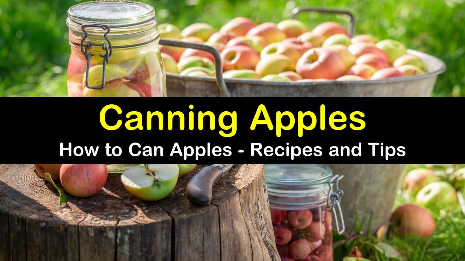 Apple Canning Recipes
 Canning Apples How to Can Apples Recipes and Tips