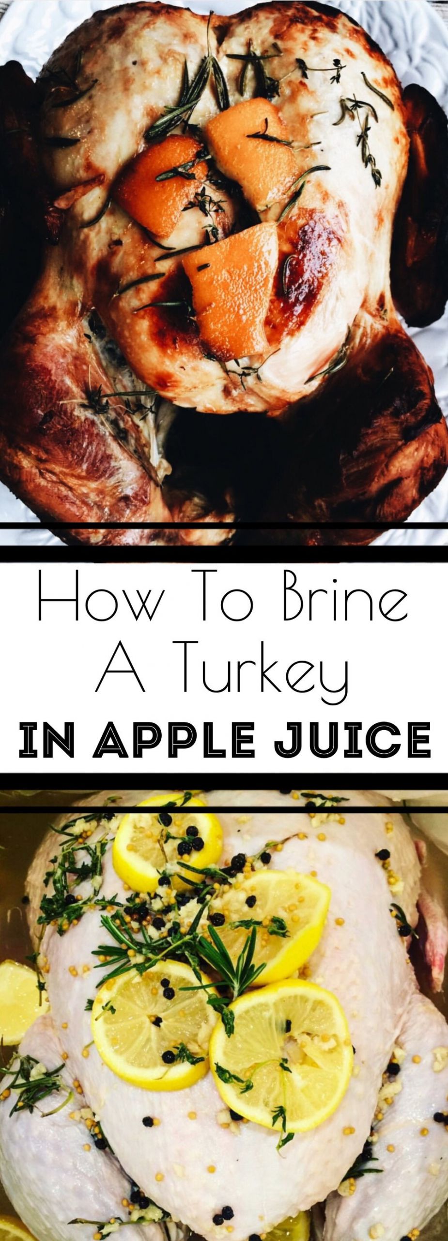 Apple Juice Turkey Brine
 How To Brine a Turkey In Apple Juice — First Thyme Mom