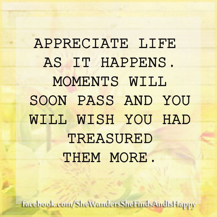 Appreciating Life Quotes
 Appreciate Life Quotes QuotesGram