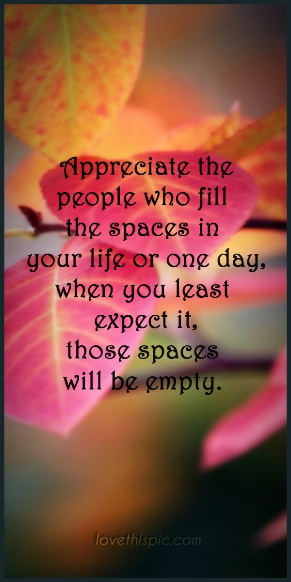 Appreciating Life Quotes
 Quotes About Appreciating People In Your Life QuotesGram