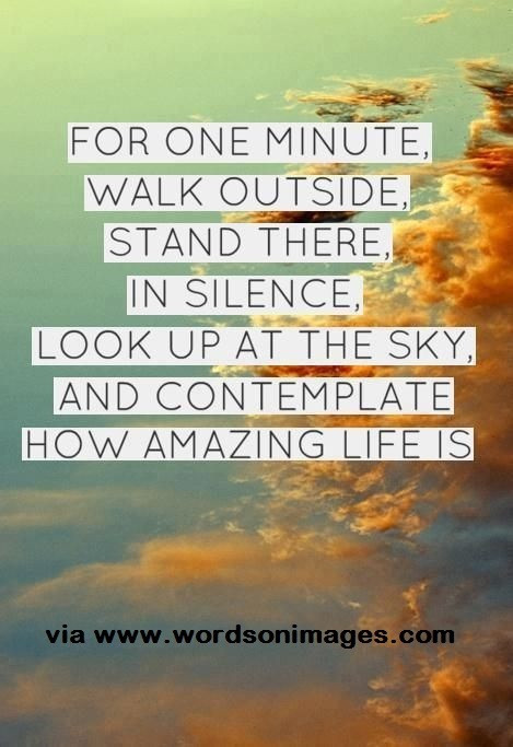 Appreciating Life Quotes
 Amazing quote about appreciating life Collection