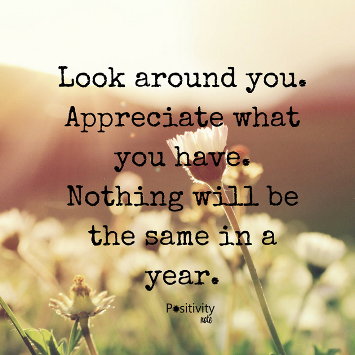 Appreciating Life Quotes
 Look around you Appreciate what you have Nothing will be