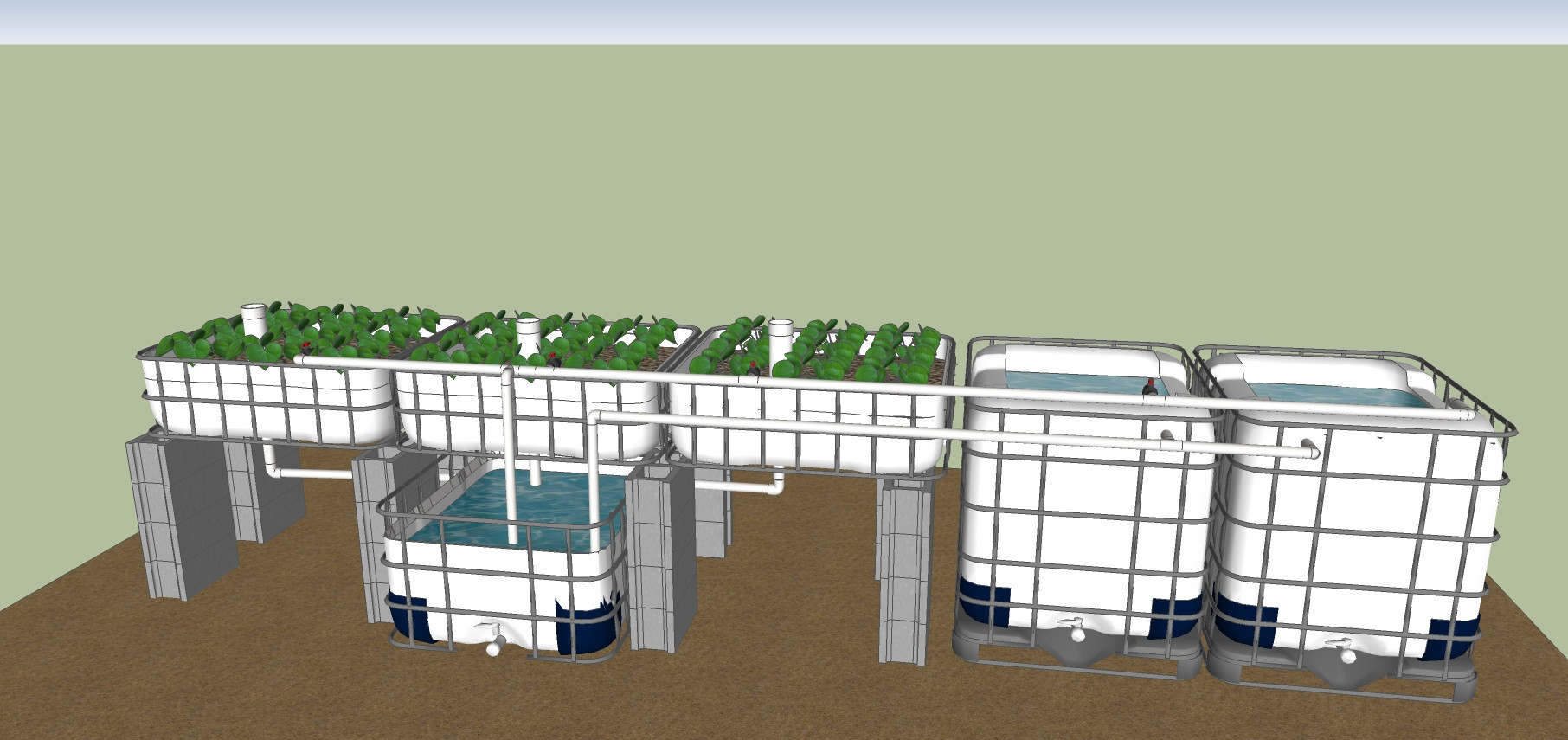 Aquaponic DIY Plans
 Aquaponics Diy Plans Aquaponics – How To Build An