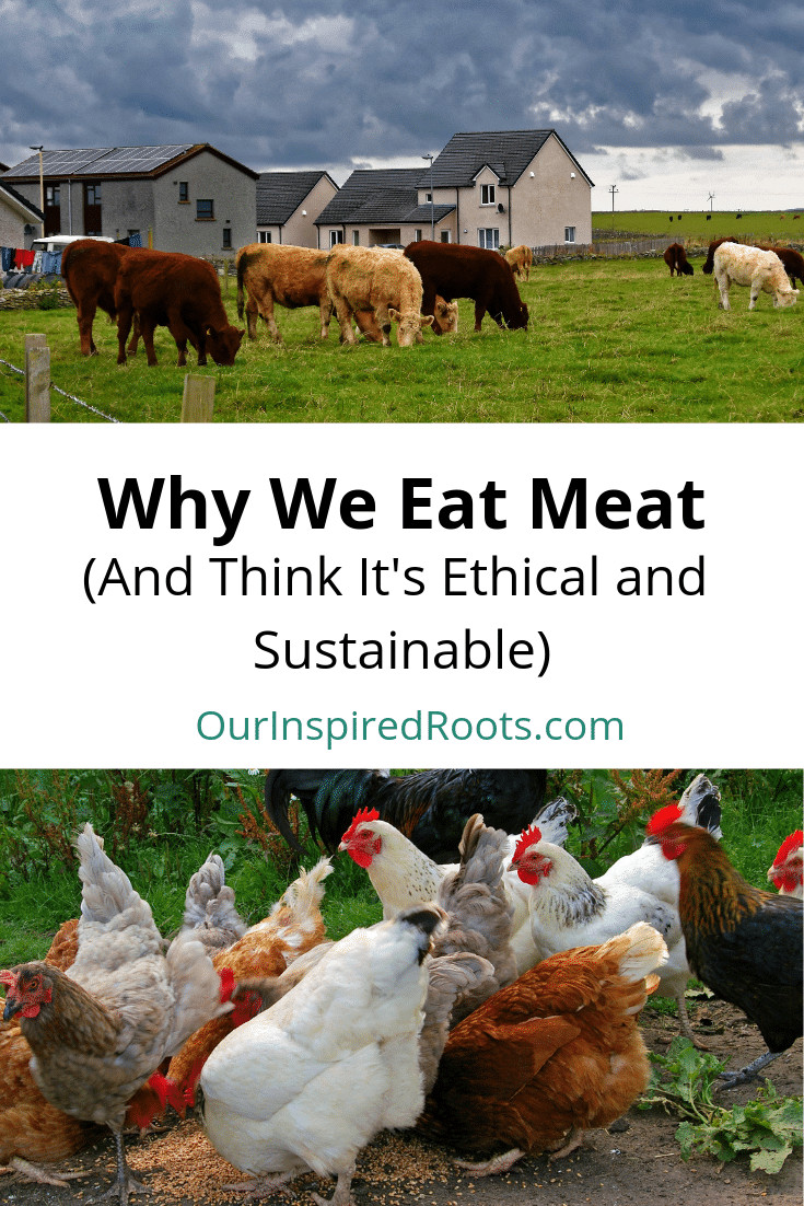 Arguments Against Backyard Chickens
 Arguments Against Veganism 3 Reasons Why I Eat Meat