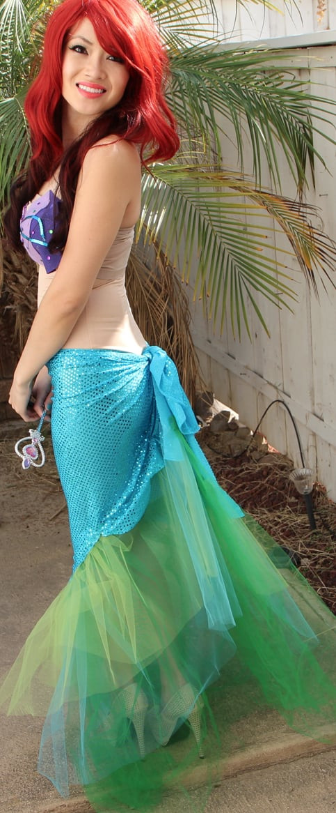 Ariel Costume DIY
 Ariel Costume Ideas For Adults